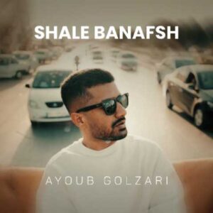 شال بنفش  ایوب گلزاری